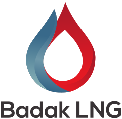 Logo PT Badak LNG